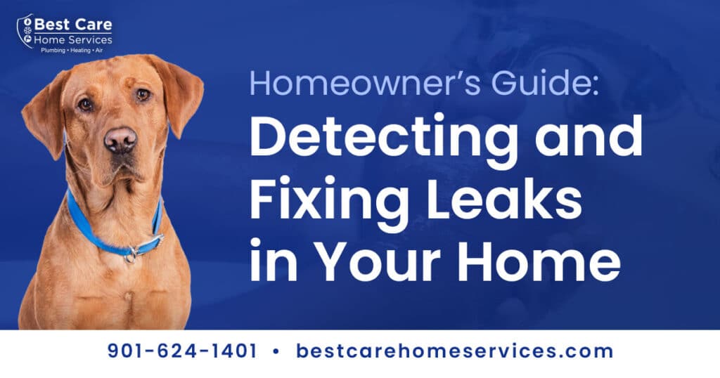 Featured image for “Detecting and Fixing a Water Leak in Your Home”